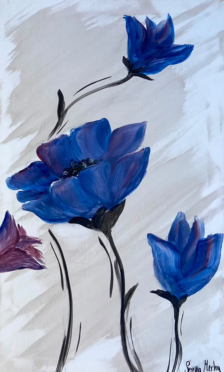 Anemone Harmony